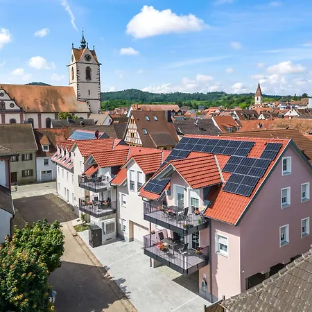 Birgit - S2 By Interhome * Endingen am Kaiserstuhl